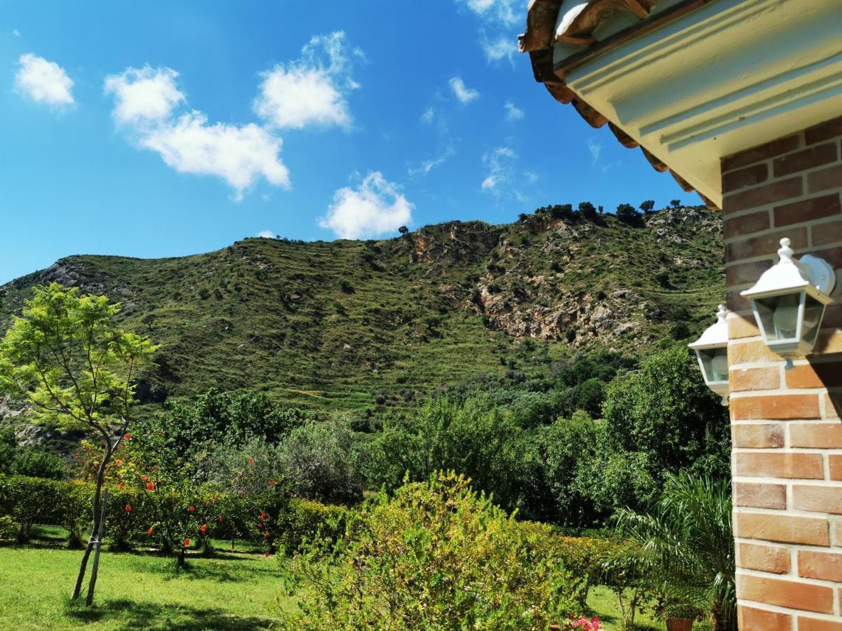 Il Mandorlo Villa Amantea Eksteriør billede