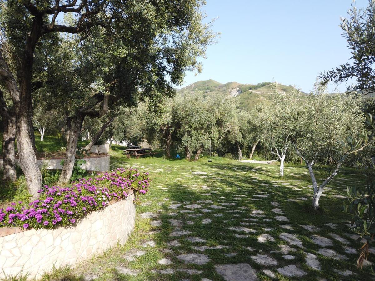 Il Mandorlo Villa Amantea Eksteriør billede
