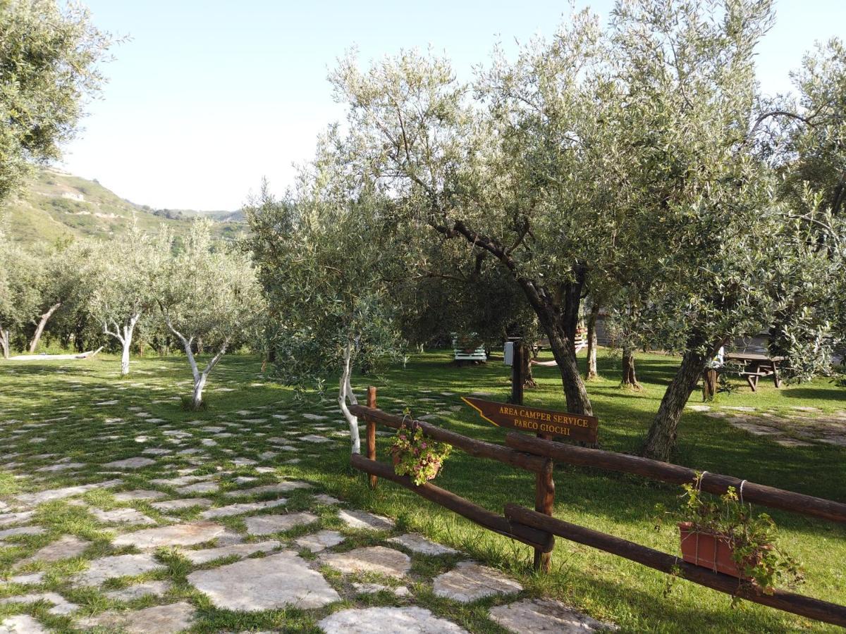 Il Mandorlo Villa Amantea Eksteriør billede
