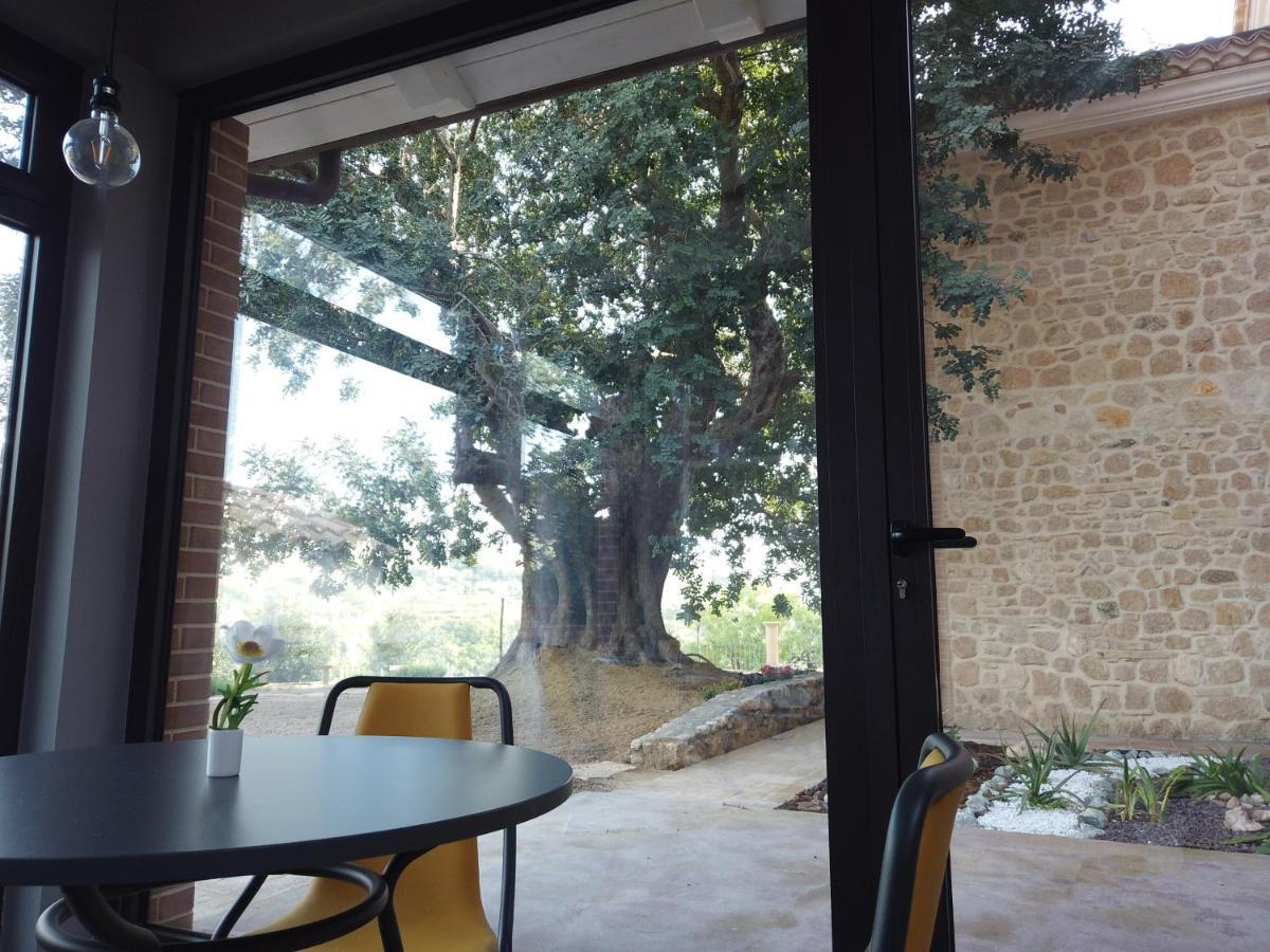 Il Mandorlo Villa Amantea Eksteriør billede